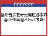 德州音乐艺考集训班哪家靠谱(德州靠谱音乐艺考班)