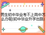 男生初中毕业考不上高中怎么办呢(初中毕业升学出路)