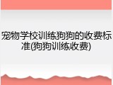 宠物学校训练狗狗的收费标准(狗狗训练收费)