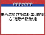 定西渭源县找单招集训的地方(渭源单招集训)