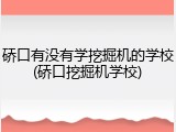 硚口有没有学挖掘机的学校(硚口挖掘机学校)