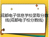 成都电子信息学校录取分数线(成都电子校分数线)