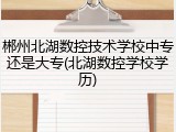 郴州北湖数控技术学校中专还是大专(北湖数控学校学历)