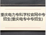 重庆电力专科学校官网中专招生(重庆电专中专招生)