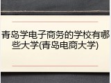 青岛学电子商务的学校有哪些大学(青岛电商大学)
