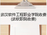 武汉软件工程职业学院收费(武软职院收费)