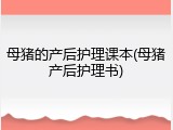 母猪的产后护理课本(母猪产后护理书)