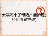 大姨妈来了母猪产后护理(经期母猪护理)