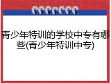 青少年特训的学校中专有哪些(青少年特训中专)