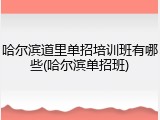 哈尔滨道里单招培训班有哪些(哈尔滨单招班)