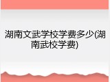 湖南文武学校学费多少(湖南武校学费)