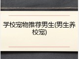 学校宠物推荐男生(男生养校宠)