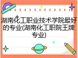 湖南化工职业技术学院最好的专业(湖南化工职院王牌专业)