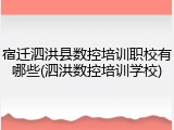 宿迁泗洪县数控培训职校有哪些(泗洪数控培训学校)