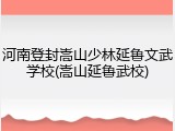 河南登封嵩山少林延鲁文武学校(嵩山延鲁武校)