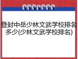 登封中岳少林文武学校排名多少(少林文武学校排名)