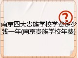 南京四大贵族学校学费多少钱一年(南京贵族学校年费)