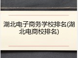 湖北电子商务学校排名(湖北电商校排名)