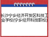 长沙宁乡经济开发区科技工业学校(宁乡经开科技职校)