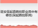 延安吴起县数控职业高中有哪些(吴起数控职高)