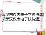 武汉市仪表电子学校待遇(武汉仪表电子校待遇)