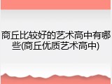 商丘比较好的艺术高中有哪些(商丘优质艺术高中)