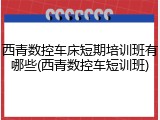 西青数控车床短期培训班有哪些(西青数控车短训班)