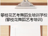 攀枝花艺考舞蹈生培训学校(攀枝花舞蹈艺考培训)