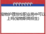 宠物护理技校职业高中可以上吗(宠物职高招生)