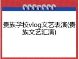 贵族学校vlog文艺表演(贵族文艺汇演)