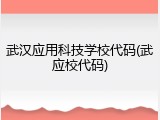 武汉应用科技学校代码(武应校代码)