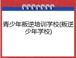 青少年叛逆培训学校(叛逆少年学校)