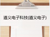 遵义电子科技(遵义电子)