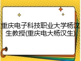 重庆电子科技职业大学杨汉生教授(重庆电大杨汉生)