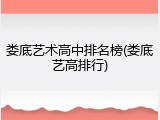 娄底艺术高中排名榜(娄底艺高排行)