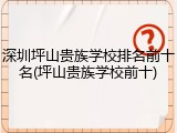 深圳坪山贵族学校排名前十名(坪山贵族学校前十)