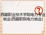 西藏职业技术学院电力专业就业(西藏职院电力就业)