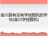 栾川县有没有学挖掘机的学校(栾川学挖掘机)