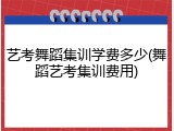 艺考舞蹈集训学费多少(舞蹈艺考集训费用)