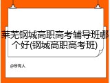 莱芜钢城高职高考辅导班哪个好(钢城高职高考班)