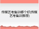 传媒艺考集训哪个好(传媒艺考集训推荐)