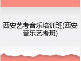 西安艺考音乐培训班(西安音乐艺考班)