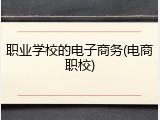 职业学校的电子商务(电商职校)