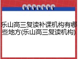 乐山高三复读补课机构有哪些地方(乐山高三复读机构)