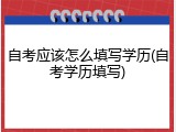 自考应该怎么填写学历(自考学历填写)