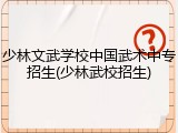 少林文武学校中国武术中专招生(少林武校招生)