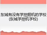 东城有没有学挖掘机的学校(东城学挖机学校)