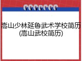 嵩山少林延鲁武术学校简历(嵩山武校简历)