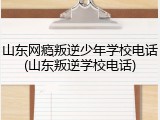 山东网瘾叛逆少年学校电话(山东叛逆学校电话)