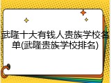 武隆十大有钱人贵族学校名单(武隆贵族学校排名)